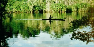 Derechos de la Naturaleza en Ecuador: balance de una década